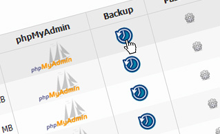 {{database_manager_paragraph_2_title}}